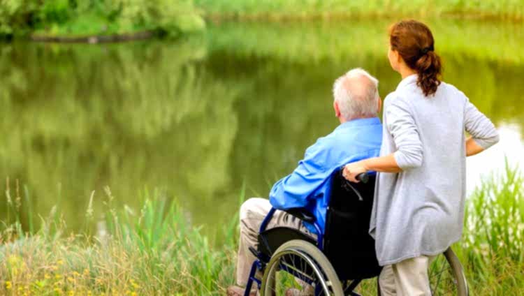 Сиделка на лето