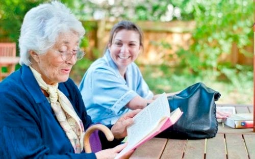 Сиделка на лето Сиделка на лето